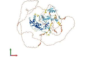 Protein Structure (PS) image for Zinc Finger Protein 280C (ZNF280C) (AA 1-737) protein (His tag) (ABIN7545277)