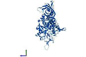 Protein Structure (PS) image for Asparaginyl-tRNA Synthetase (NARS) (AA 1-548) protein (His tag) (ABIN7544077)