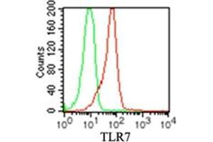 TLR7 Flow Cytometry Flow Cytometry of Mouse Anti-TLR7 antibody. (TLR7 抗体)