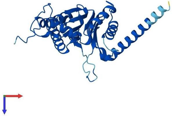 PSMA4 Protein (AA 1-261) (His tag)