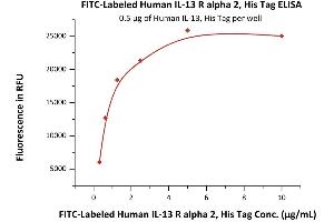 Immobilized Human IL-13, His Tag (ABIN6923160,ABIN6938873) at 5 μg/mL (100 μL/well) can bind Fed Human IL-13 R alpha 2, His Tag (ABIN6950960,ABIN6952267) with a linear range of 0.