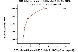 Immobilized Human IL-13, His Tag (ABIN6923160,ABIN6938873) at 5 μg/mL (100 μL/well) can bind Fed Human IL-13 R alpha 2, His Tag (ABIN6950960,ABIN6952267) with a linear range of 0. (IL13RA2 Protein (AA 27-343) (FITC,His tag))