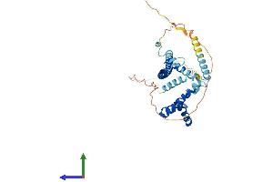 Protein Structure (PS) image for High-Mobility Group 20A (HMG20A) (AA 1-346) protein (His tag) (ABIN7561317)