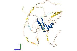 Protein Structure (PS) image for SRY (Sex Determining Region Y)-Box 3 (SOX3) (AA 1-446) protein (His tag) (ABIN7555562)