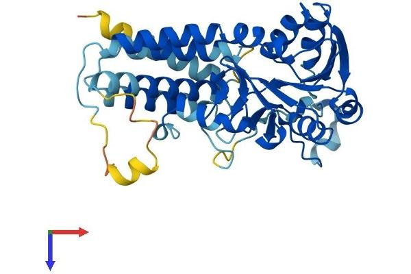 EIF2B2 Protein (AA 1-351) (His tag)