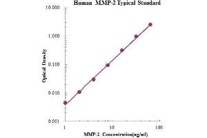 ELISA image for Matrix Metalloproteinase 2 (MMP2) ELISA Kit (ABIN2681242) (MMP2 ELISA 试剂盒)