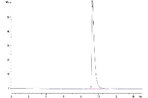 Size-exclusion chromatography-High Pressure Liquid Chromatography (SEC-HPLC) image for Insulin-Like Growth Factor Binding Protein 2, 36kDa (IGFBP2) (AA 35-305) protein (His tag) (ABIN7274864)