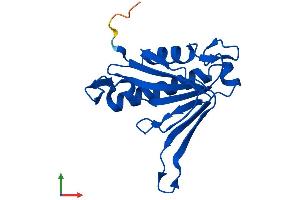 Protein Structure (PS) image for Chromosome 14 Open Reading Frame 126 (C14orf126) (AA 1-168) protein (His tag) (ABIN7558621)