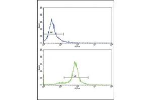 Flow Cytometry (FACS) image for anti-Paired Box 6 (PAX6) (AA 183-210) antibody (ABIN3032129)