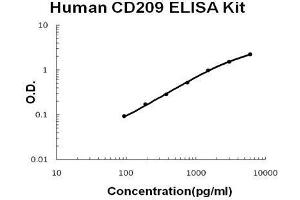 Human  CD209 PicoKine ELISA Kit standard curve (DC-SIGN/CD209 ELISA 试剂盒)