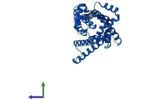 Protein Structure (PS) image for Solute Carrier Family 25, Member 42 (SLC25A42) (AA 1-318) protein (His tag) (ABIN7545923)