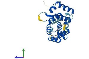Protein Structure (PS) image for Rhophilin Associated Tail Protein 1 (ROPN1) (AA 1-212) protein (His tag) (ABIN7561466)