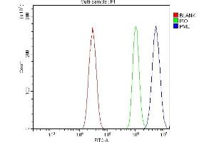 Flow Cytometry analysis of HEPA1-6 cells using anti-PML Protein/Pml antibody (ABIN7599678). (PML 抗体  (AA 107-857))
