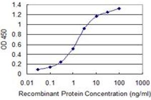 Detection limit for recombinant GST tagged SOX15 is 0. (SOX15 抗体  (AA 1-233))