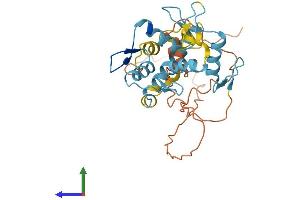 AlphaFold protein structure predicition of Human Recombinant ZNF705B Protein, UniprotID P0CI00 (ZNF705B Protein (AA 1-300) (His tag))