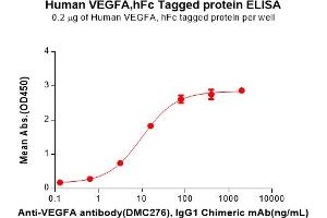 ELISA image for Vascular Endothelial Growth Factor A (VEGFA) (AA 27-147) protein (Fc Tag) (ABIN6964343)