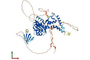 Protein Structure (PS) image for Exonuclease 3'-5' Domain Containing 1 (EXD1) (AA 1-570) protein (His tag) (ABIN7564541)