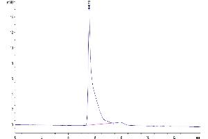 The purity of Human CD24 VLP is greater than 95 % as determined by SEC-HPLC. (CD24 Protein-VLP (AA 27-59))
