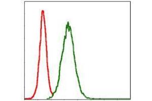 Flow cytometric analysis of NIH/3T3 cells using MMP3 mouse mAb (green) and negative control (red). (MMP3 抗体)