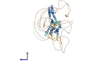 AlphaFold protein structure predicition of Human Recombinant KCNQ5 Protein, UniprotID Q9NR82 (KCNQ5 Protein (AA 1-932) (His tag))
