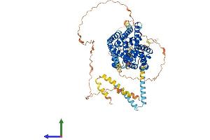 Protein Structure (PS) image for phosphodiesterase 1C, Calmodulin-Dependent 70kDa (PDE1C) (AA 1-709) protein (His tag) (ABIN7550586)