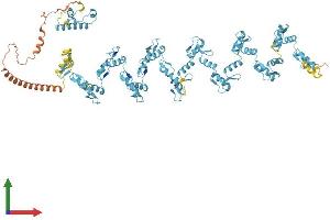 AlphaFold protein structure predicition of Human Recombinant ZNF99 Protein, UniprotID A8MXY4