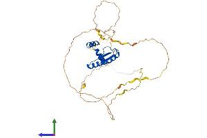 Protein Structure (PS) image for Myocyte Enhancer Factor 2B (MEF2B) (AA 1-349) protein (His tag) (ABIN7562476)