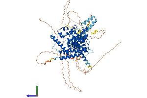 Protein Structure (PS) image for phosphodiesterase 4D, cAMP-Specific (PDE4D) (AA 1-747) protein (His tag) (ABIN7556855)