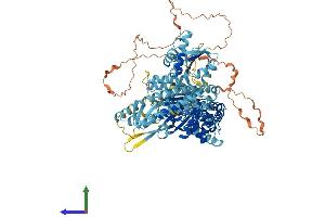 AlphaFold protein structure predicition of Human Recombinant MSH4 Protein, UniprotID O15457