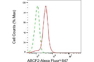 anti-ATP-Binding Cassette, Sub-Family F (GCN20), Member 2 (ABCF2) antibody