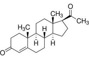 Molecular Structure of Progesterone (Progesterone 抗体)