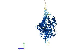 Protein Structure (PS) image for Asparagine-Linked Glycosylation 11, alpha-1,2-Mannosyltransferase Homolog (Yeast) (ALG11) (AA 1-492) protein (His tag) (ABIN7557110)