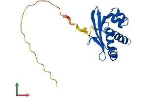 Protein Structure (PS) image for SCP2 Sterol-Binding Domain Containing 1 (SCP2D1) (AA 1-156) protein (His tag) (ABIN7545967)