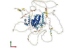 Protein Structure (PS) image for Salt-Inducible Kinase 2 (SIK2) (AA 1-926) protein (His tag) (ABIN7555482)