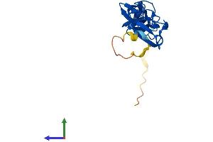 AlphaFold protein structure predicition of Mouse Recombinant Lmo4 Protein, UniprotID P61969 (LMO4 Protein (AA 1-165) (His tag))