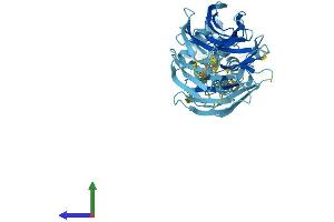 Protein Structure (PS) image for Smu-1 Suppressor of Mec-8 and Unc-52 Homolog (SMU1) (AA 1-513) protein (His tag) (ABIN7546287)