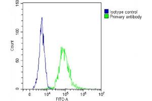 Overlay histogram showing  cells stained with (ABIN6244007 and ABIN6578809)(green line). (ST8SIA1 抗体  (AA 53-84))