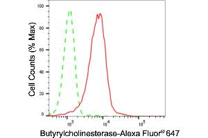 anti-Butyrylcholinesterase (BCHE) antibody