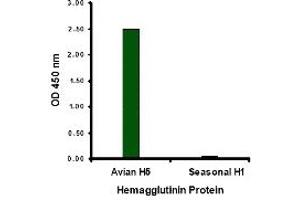 ELISA image for anti-Hemagglutinin antibody (Influenza A Virus H5N1) (Center) (ABIN2457870) (Hemagglutinin 抗体  (Center))