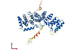 AlphaFold protein structure predicition of Human Recombinant PTCD2 Protein, UniprotID Q8WV60 (PTCD2 Protein (AA 1-388) (His tag))