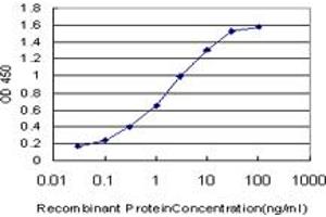 Detection limit for recombinant GST tagged NFYB is approximately 0. (NFYB 抗体  (AA 1-207))
