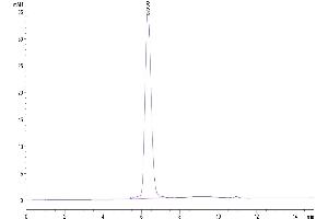 Size-exclusion chromatography-High Pressure Liquid Chromatography (SEC-HPLC) image for Platelet Derived Growth Factor Receptor alpha (PDGFRA) (AA 24-524) protein (His-Avi Tag) (ABIN7275439)