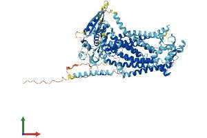 Protein Structure (PS) image for Anoctamin 7 (ANO7) (AA 1-859) protein (His tag) (ABIN7563635)