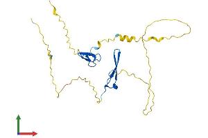 Protein Structure (PS) image for RING1 and YY1 Binding Protein (RYBP) (AA 1-228) protein (His tag) (ABIN7559248)