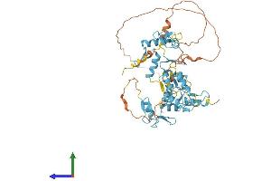 Protein Structure (PS) image for FLT3-Interacting Zinc Finger 1 (FIZ1) (AA 1-496) protein (His tag) (ABIN7547724)