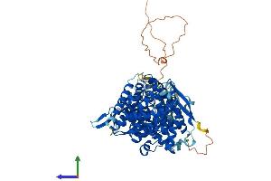 Protein Structure (PS) image for Asteroid Homolog 1 (ASTE1) (AA 1-679) protein (His tag) (ABIN7552475)