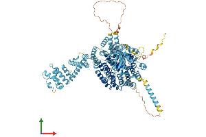 Protein Structure (PS) image for Proteasome (Prosome, Macropain) 26S Subunit, Non-ATPase, 1 (PSMD1) (AA 1-953) protein (His tag) (ABIN7555100)