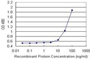 ELISA image for TAGLN (Human) Matched Antibody Pair (ABIN1342333)