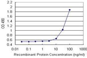 Sandwich ELISA detection sensitivity ranging from 10 ng/mL to 100 ng/mL. (TAGLN (人) Matched Antibody Pair)