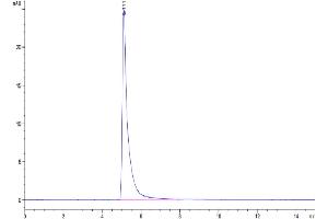 The purity of Mouse ITGA1&ITGB1 is greater than 95 % as determined by SEC-HPLC.